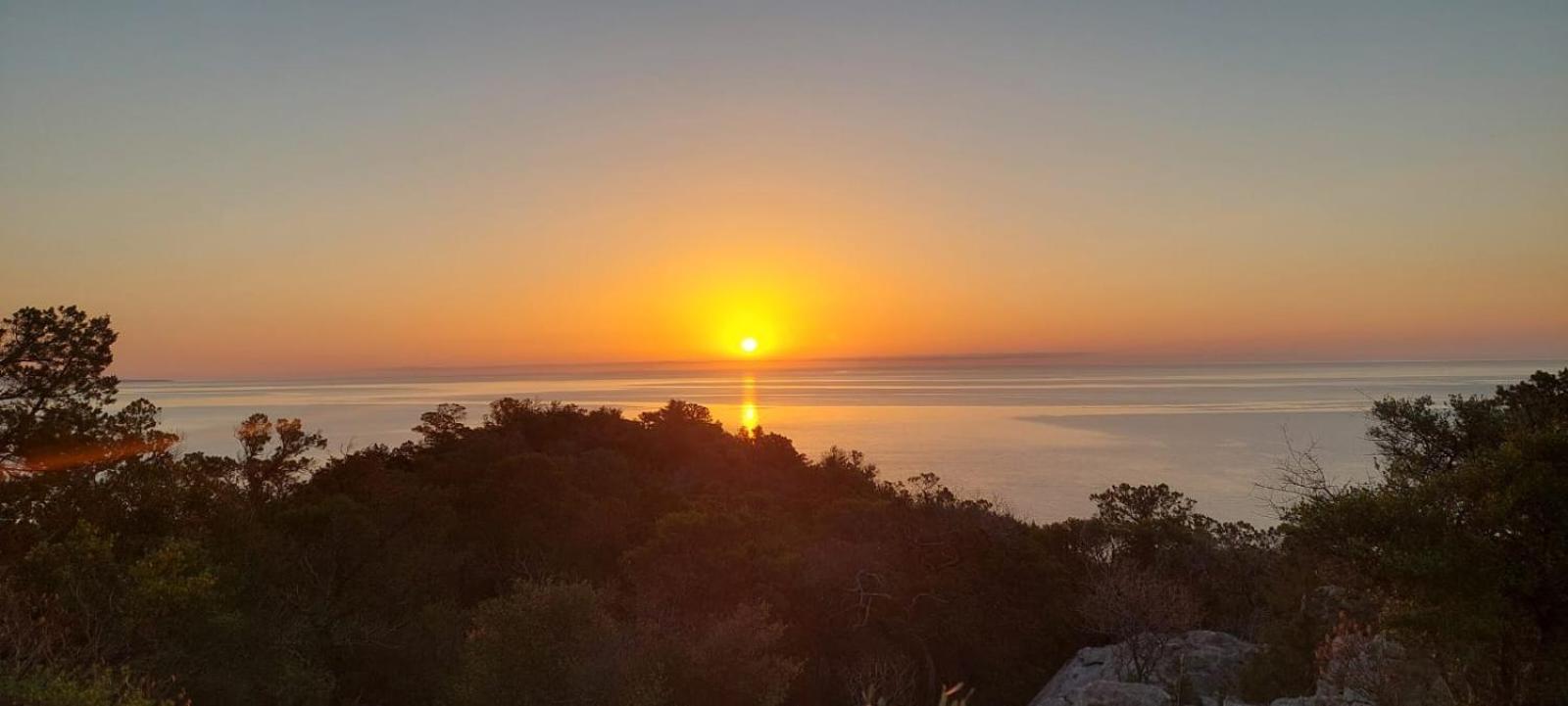 Casa Purple Διαμέρισμα Cala Gonone Εξωτερικό φωτογραφία